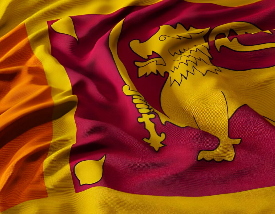 An Overview of the Sri Lanka eCommerce Sector