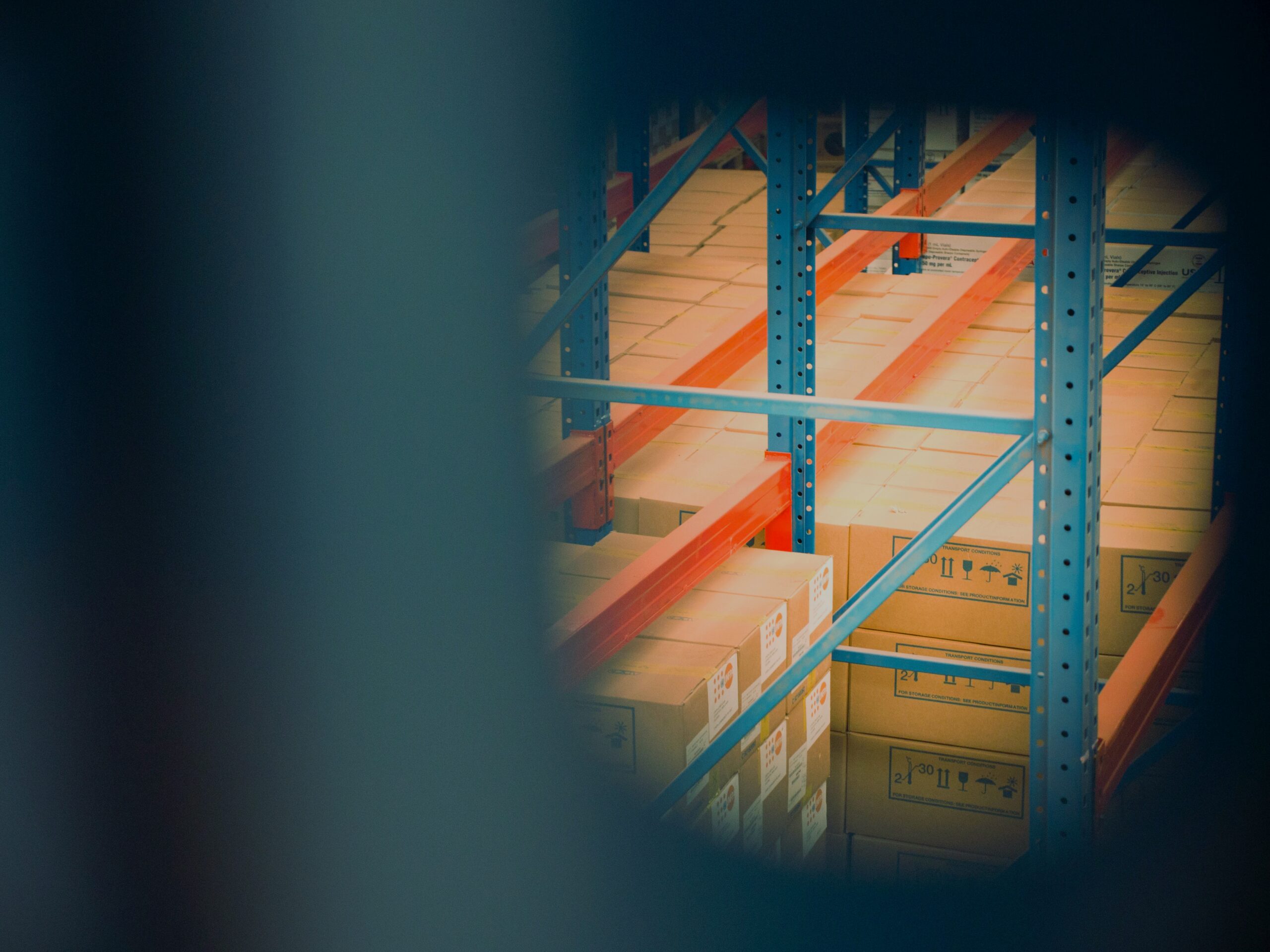 Best Practices for Optimizing Warehouse Space and Inventory Management