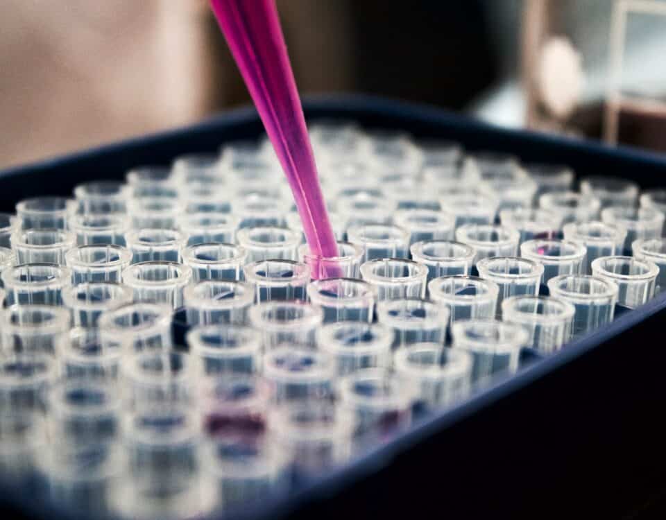 A person is conducting a feasibility study by pouring a pink liquid into a test tube for market research purposes.