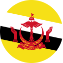 Foreign Direct Investment in Brunei - Information on FDI from the International Trade Council