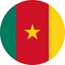 Flag of Cameroon Foreign Direct Investment - International Trade Council