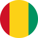 Flag of Guinea Foreign Direct Investment - International Trade Council