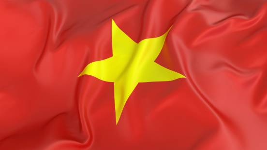 Successful Global Expansion of Companies in Vietnam