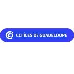 Chambre de Commerce et dIndustrie des Îles de Guadeloupe - International Trade Council