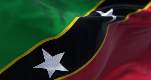 Major exports of Saint Kitts and Nevis
