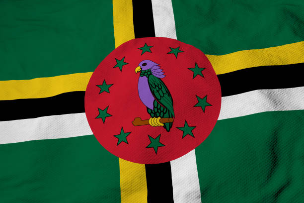 Employment Rules and Regulations in Dominica