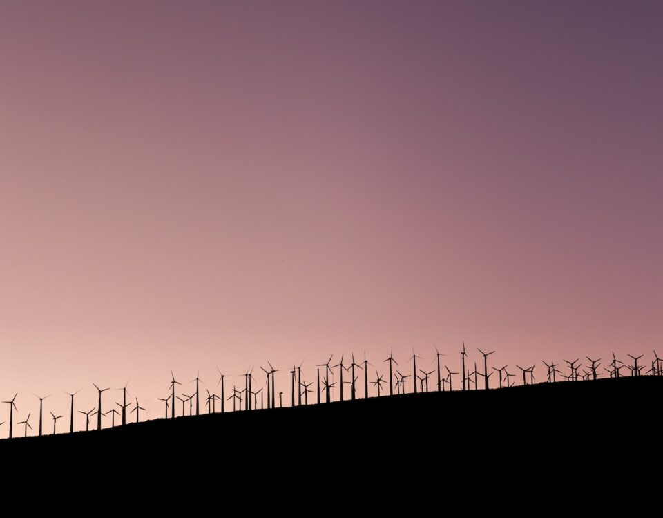 Silhouette of wind turbines on a hill at sunset, embodying Sustainable Development.