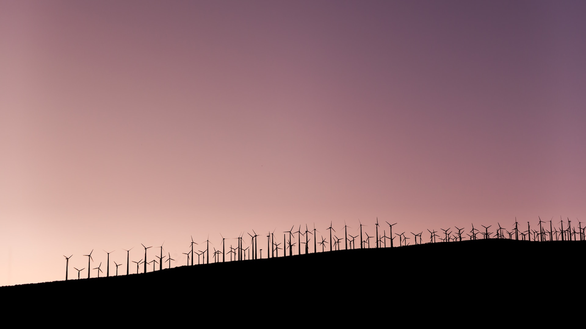 Silhouette of wind turbines on a hill at sunset, embodying Sustainable Development.