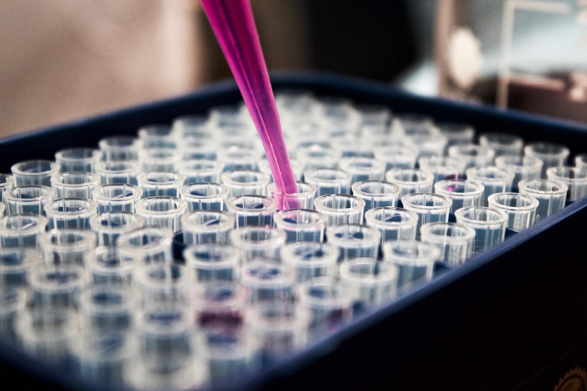 A person is conducting a feasibility study by pouring a pink liquid into a test tube for market research purposes.