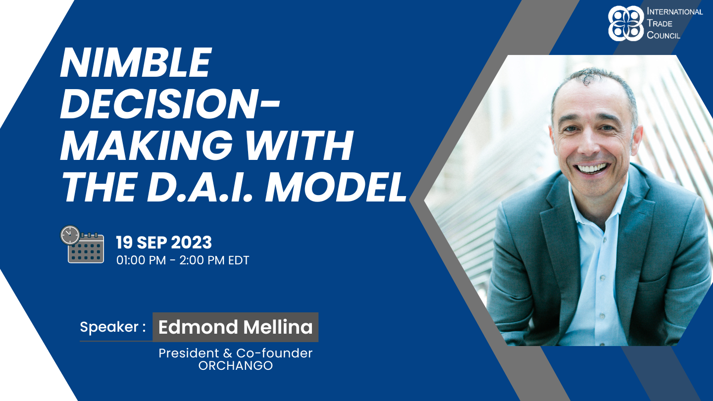 Webinar: Nimble Decision Making With the D.A.I. Model