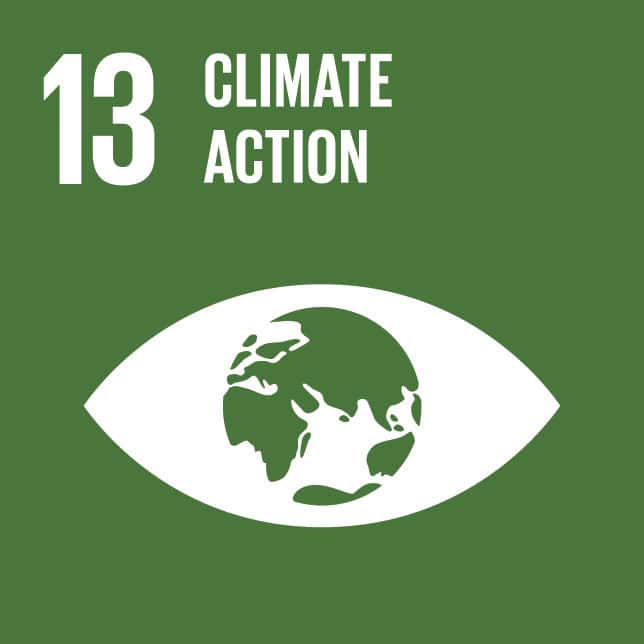 Goal 13: Climate Action