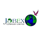 Jobex Company Ltd - member of the international trade council