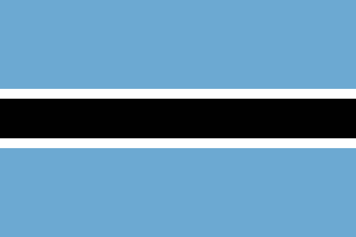 Botswana Unified Revenue Service: Transparency and Crime Prevention