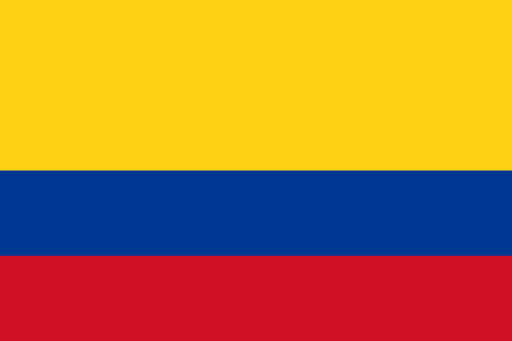 DIAN: Combating Counterfeit and Transnational Crime in Colombia