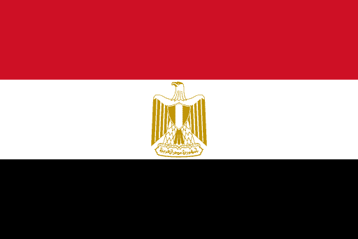 Egyptian Customs Authority: Leading the Fight Against Counterfeit Goods and Transnational Crime