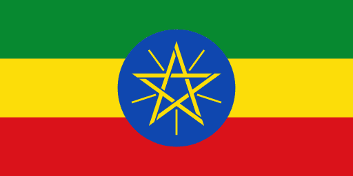 Ethiopian Customs Commission (ECC): Leading the Fight Against Counterfeit and Transnational Crime