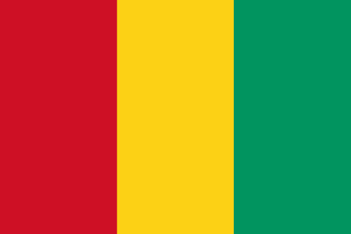 Guinea Customs Administration: Overcoming Challenges in Trade Enforcement