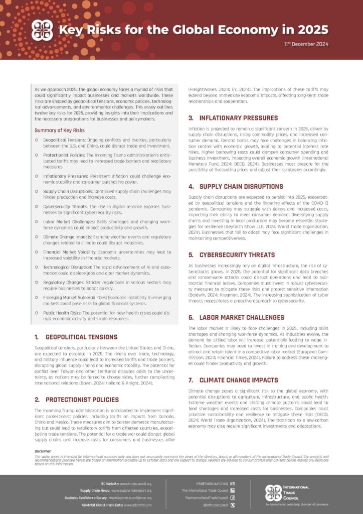 Key risks for global economy in 2025