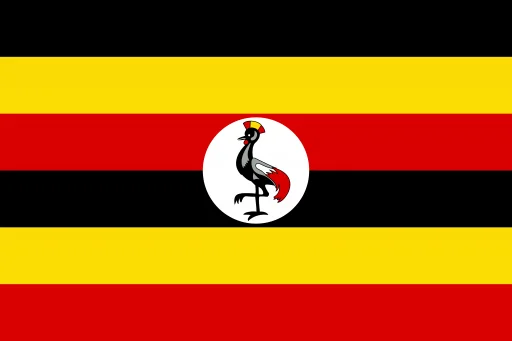 Uganda Customs: A Leader in Combating Counterfeit and Transnational Crime