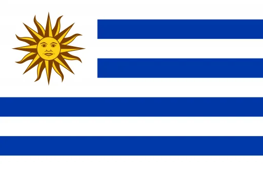 Uruguay Customs: A Leader in Combating Counterfeit and Transnational Crime