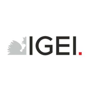 IGEI