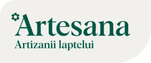 Artesana Receives Nomination for Go Global Awards 2025